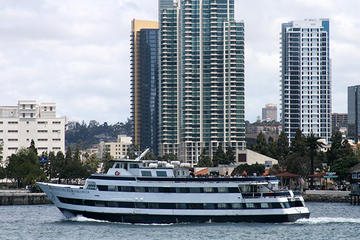 San Diego Two Hour Harbor Cruise and Sea Lion Adventure