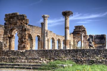 Private Day Tour: Meknes and Volubilis from Fez