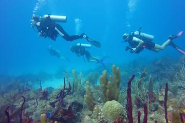 1-Hour Certified Dive in Punta Cana