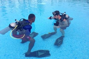 PADI Open Water Diver Course in Bayahibe
