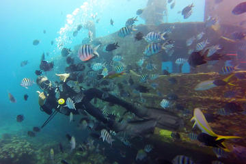 Scuba Dive Package in Bayahibe