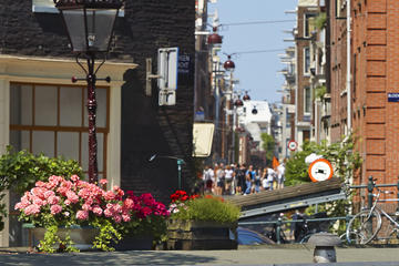 Aluguel de pedalinho em Amsterdã com...