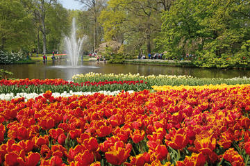 Amsterdam Combo: Van Gogh Museum and Canal Cruise with Optional Skip-the-Line Keukenhof Gardens