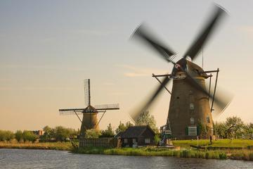Full day tour with luxury minivan to the windmills in Kinderdijk & the Hague