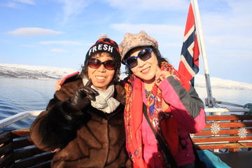 Fjord Cruise with Arctic Wildlife Sightings from Tromso