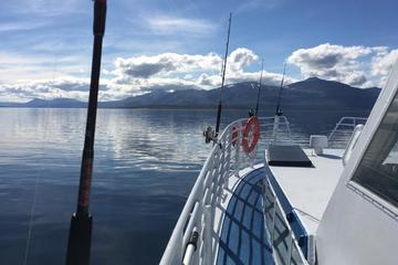Polar Fishing Adventure from Tromso