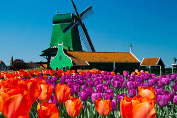 Amsterdam Super Saver 3: City Tour plus Zaanse Schans Windmills, Volendam and Marken Day Trip