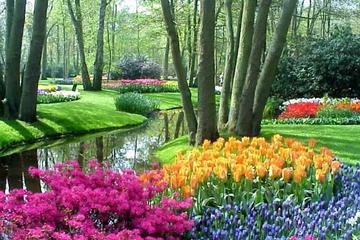 Amsterdam Super Saver: Keukenhof Gardens Day Trip plus Amsterdam City Tour