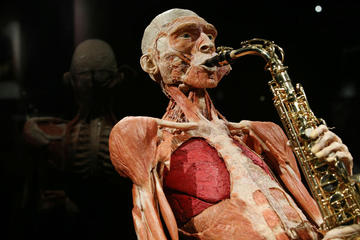 Body Worlds Amsterdam Entrance Ticket with Optional Canal Cruise