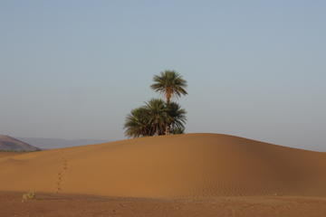 2-Day Private Tour in the Desert of Zagora from Marrakech