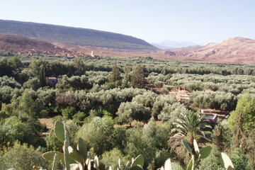 Private Day Trip: Zat Valley and Pottery Village from Marrakech