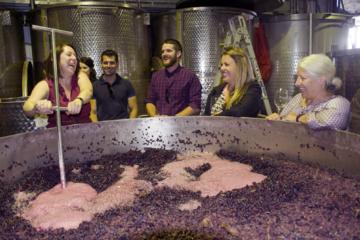 Mornington Peninsula Winery Tour Including Wine Tastings and 2-Course Lunch from Melbourne