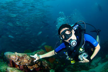 Discover Scuba Diving