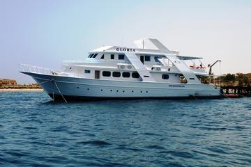Dolphin Spotting Overnight Cruise to Sataya with Scuba Diving