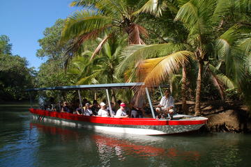 Damas Island Mangrove Boat Tour from Jaco