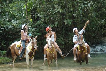 Horseback Riding Tour from Manuel Antonio