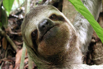 Manuel Antonio National Park Hiking Tour