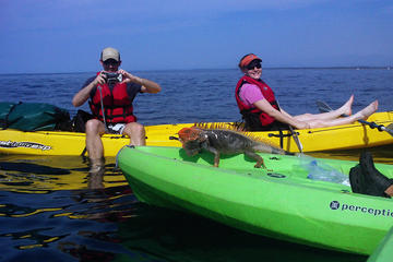Manuel Antonio Ocean Kayaking & Snorkeling