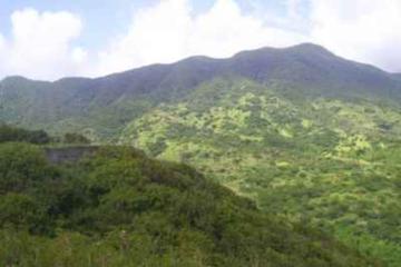 St Kitts Volcano Hiking and Sightseeing Excursion