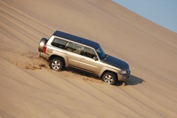 Full-Day Private Qatar Desert Safari from Doha