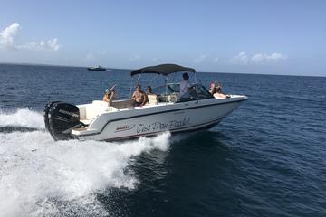 Full day trip around St Martin Maarten