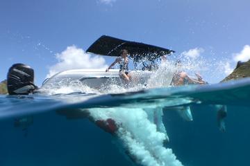 Private St Barth Day Trip from St Maarten