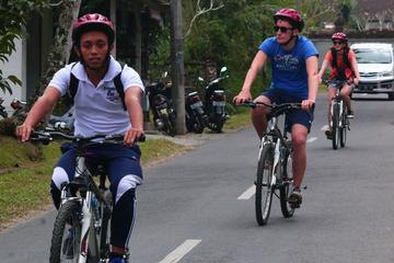 Bali Downhill Cultural Cycling Tour