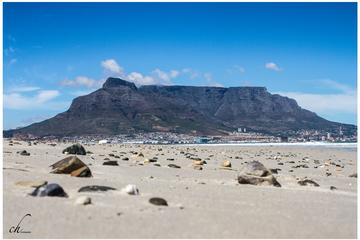 Full Day Robben Island and Table Mountain Tour from Cape Town