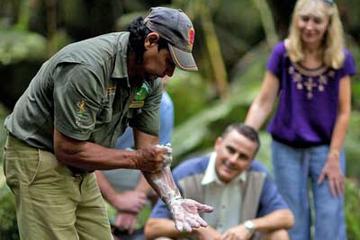 Mossman Gorge, Aboriginal Dreamtime Walk and Daintree River Crocodile Cruise Day Trip