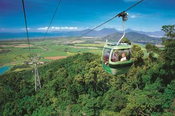 Skyrail Rainforest Cableway Day Trip from Palm Cove