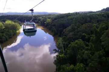 Skyrail Rainforest Cableway Day Trip from Port Douglas