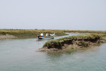 Bird Watching Guided Boat Trip in Ria Formosa from Faro Algarve