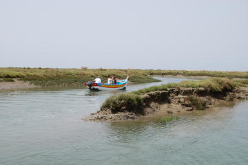 Excursion en bateau guidée...