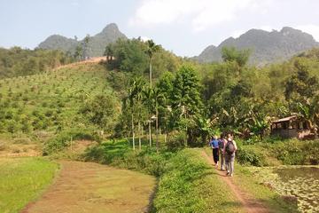 Hoa Binh and Muong Hill Tribe Day Trip from Hanoi
