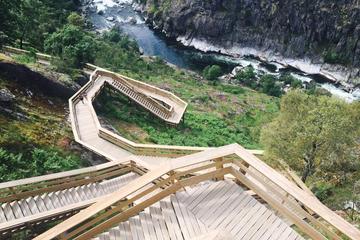 Full Day Private Tour of the Paiva Walkways