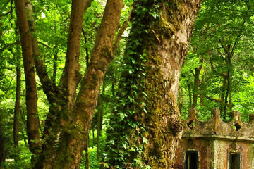 Half Day Private Tour: Sintra and Beaches