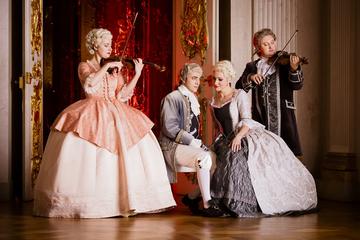 Christmas at Charlottenburg Palace in Berlin: Christmas Concert And Dinner by Berlin Residence Orchestra