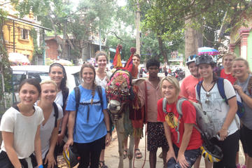 5-Hour South Bangalore Small-Group Bike Tour with Breakfast