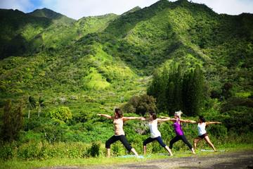 Jungle Waterfall Hike: Beachfront Yoga and Sacred Paths of Pali-Manoa