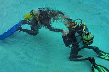 Discover Scuba Diving in Playa del Carmen