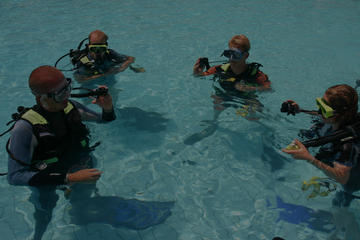Learn to Scuba Dive- PADI Open Water Course