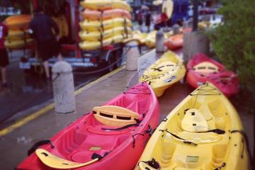 Kayak Rental from Camuy