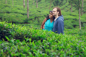 Bangladesh Discovery Tour Explore the Tea Gardens of Sreemangal