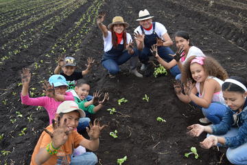 Colombia Educational Tour: Sustainable Farming