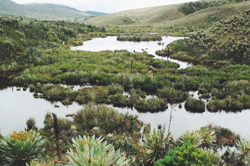 Cundinamarca Community Tour: Rural Culture and Wildlife