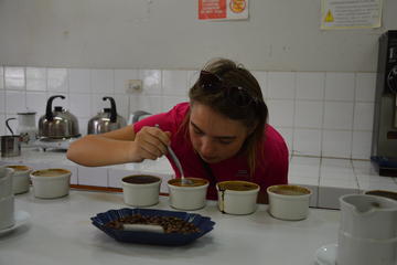 Cusco Coffee Tour Discover How Organic Coffee is Grown