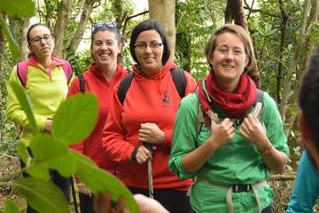 La Laguna Hiking Tour: Biodiversity in the Anaga Mountains