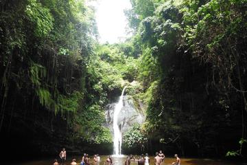 Lomé Discovery Tour: Nature and History in a Small City