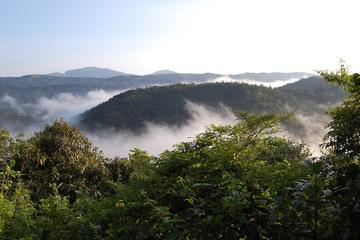 Madikeri Eco Tour: Trek Through Nature and Celebrate Sustainability