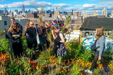 New York City Garden Tour: Explore Green Spaces and Sustainability